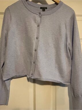 wild fable Light Lavender Knit Sweater Top